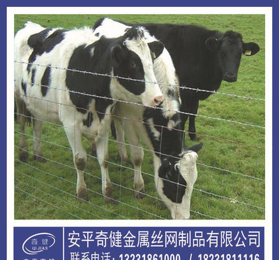 【新疆烏魯木齊